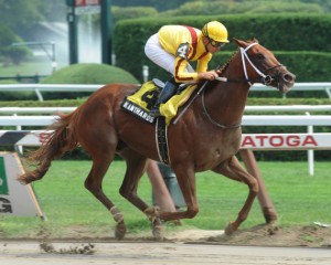 Kentucky Derby 2011 picture